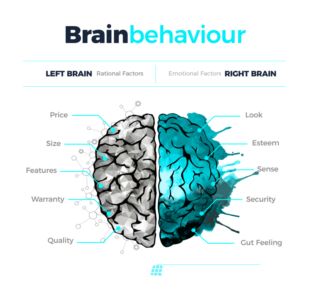 Brainbehaviour 01 En