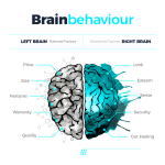 Data-Driven Branding