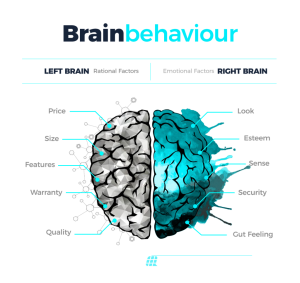 Brainbehaviour 01 En 1024X967 1