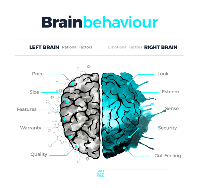 Brainbehaviour 01 En 1024X967 1